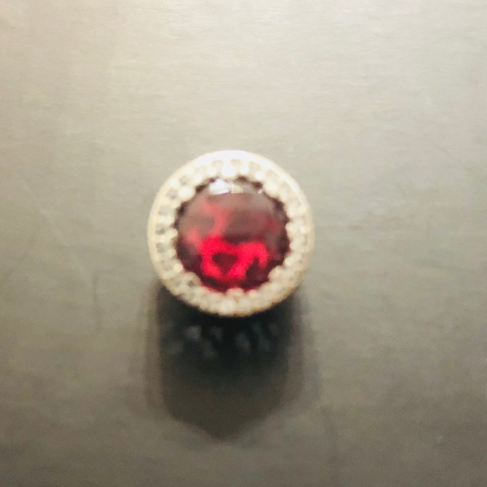 Radiant Rose Charm🆕
